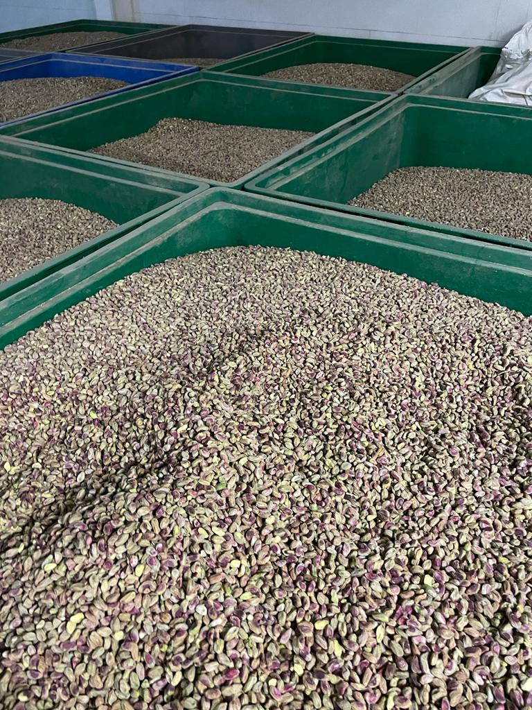 Pistacchi selezionati